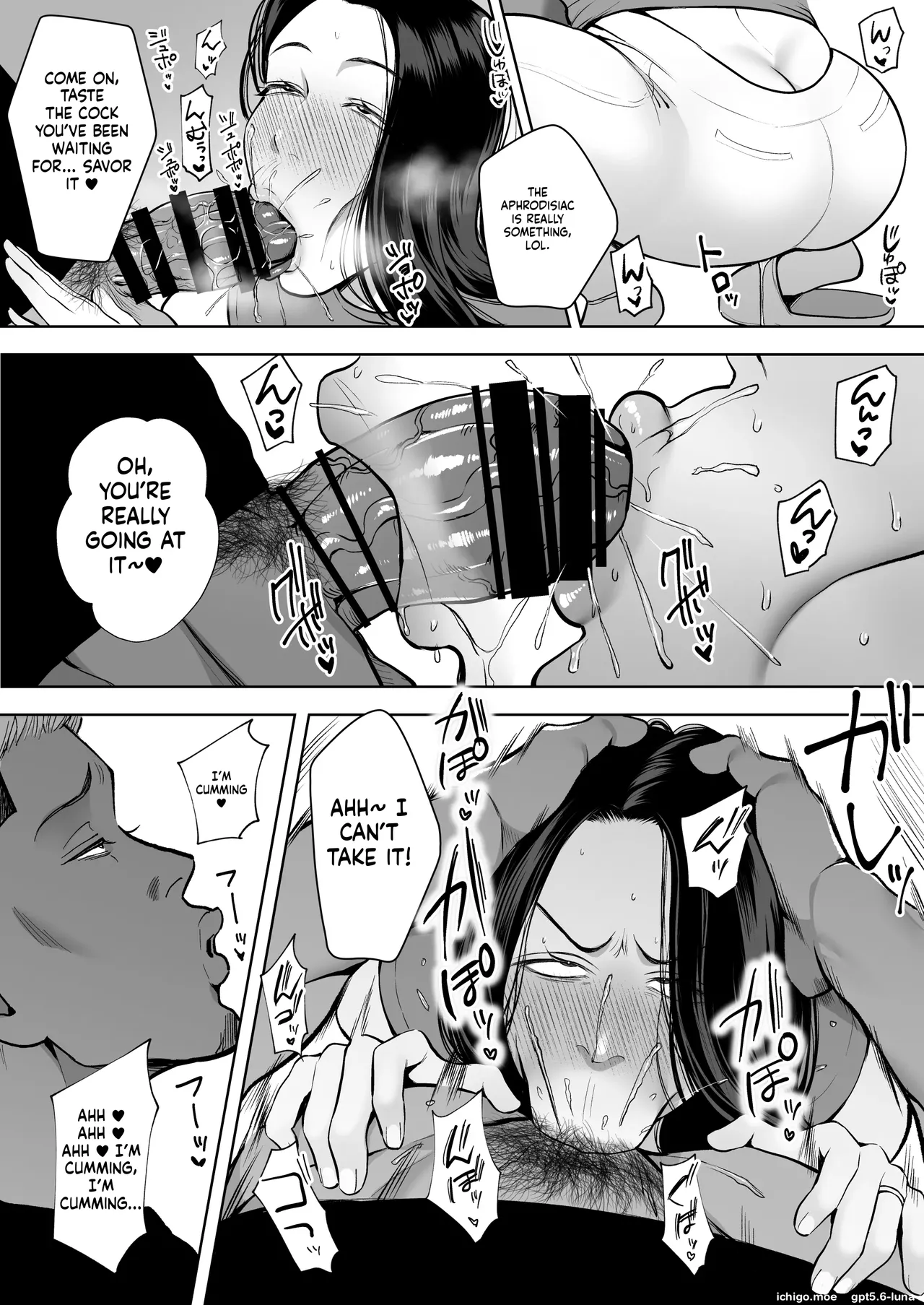 Hitozuma Yarisute Doukoukai Igarashi Ayane Hen